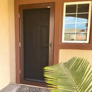 Brown_Single_Hinge_door